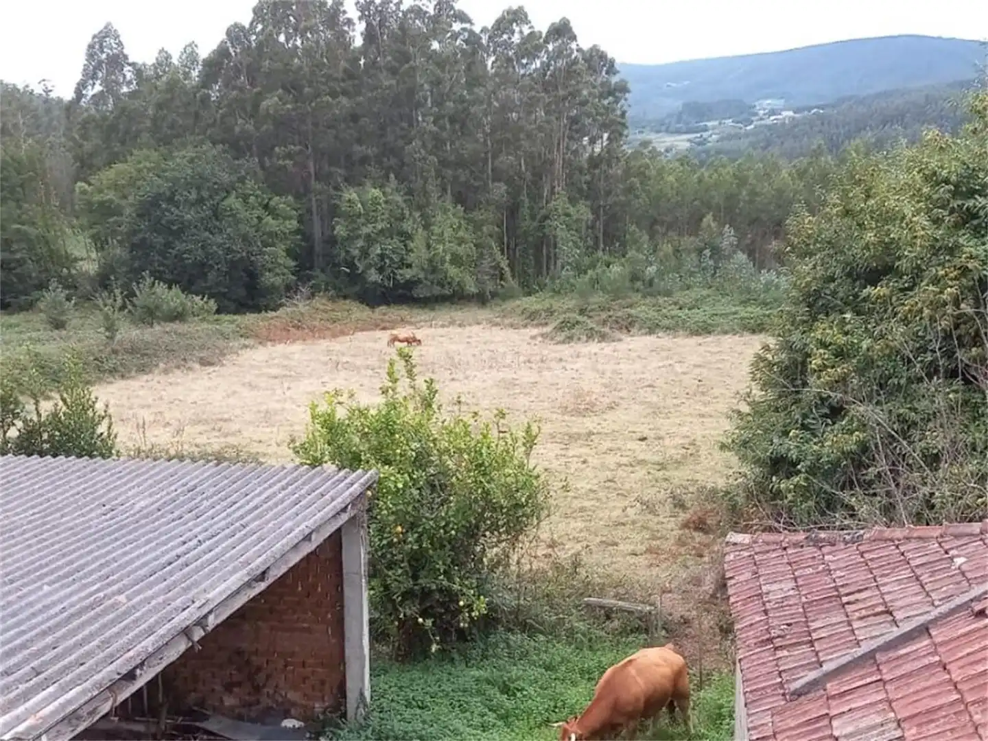 Casa o xalet en venda a Vilela, Cerdido Casa o xalet en venda en Cerdido