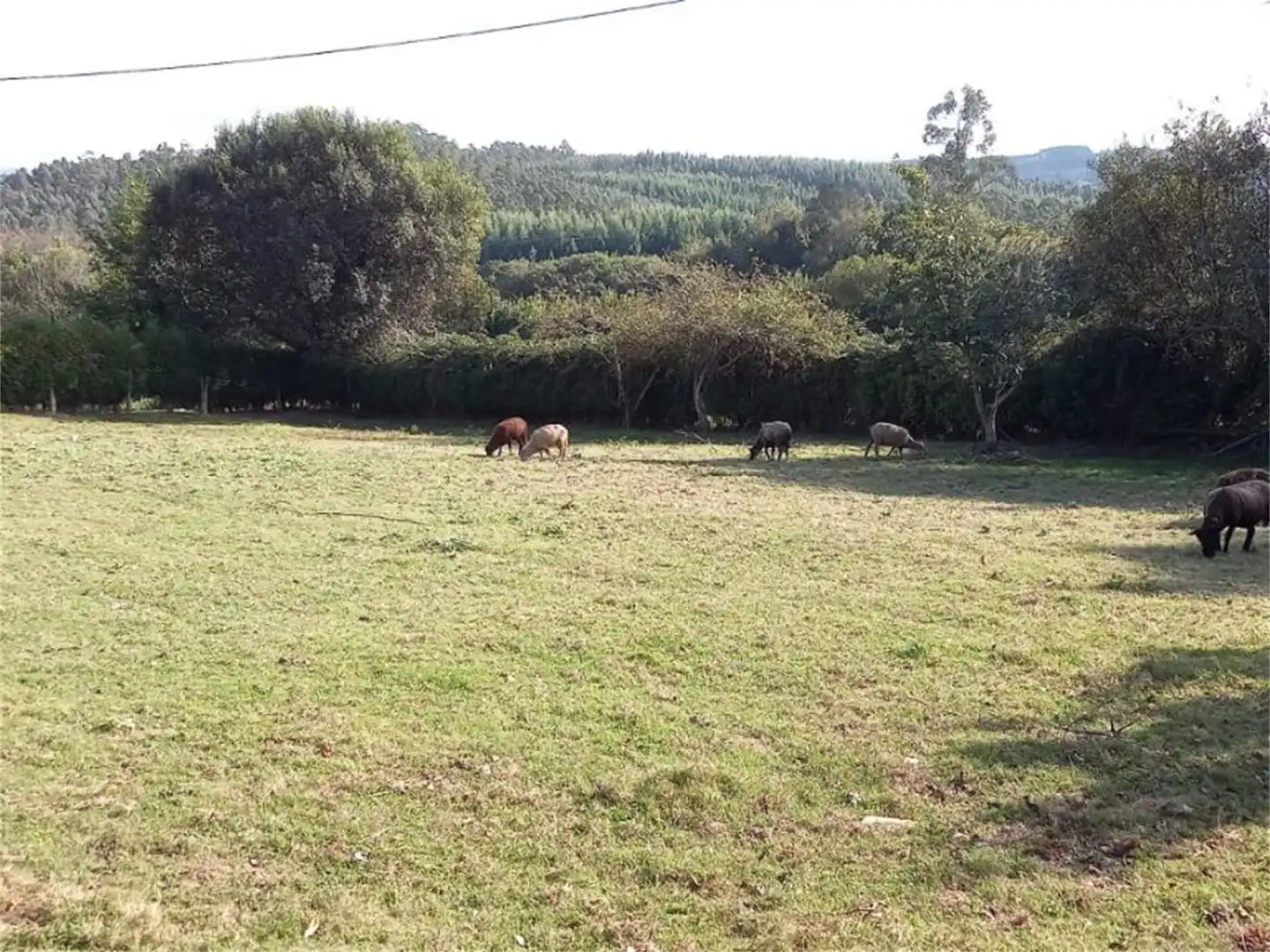 Casa o xalet en venda a Vilela, Cerdido Casa o xalet en venda en Cerdido