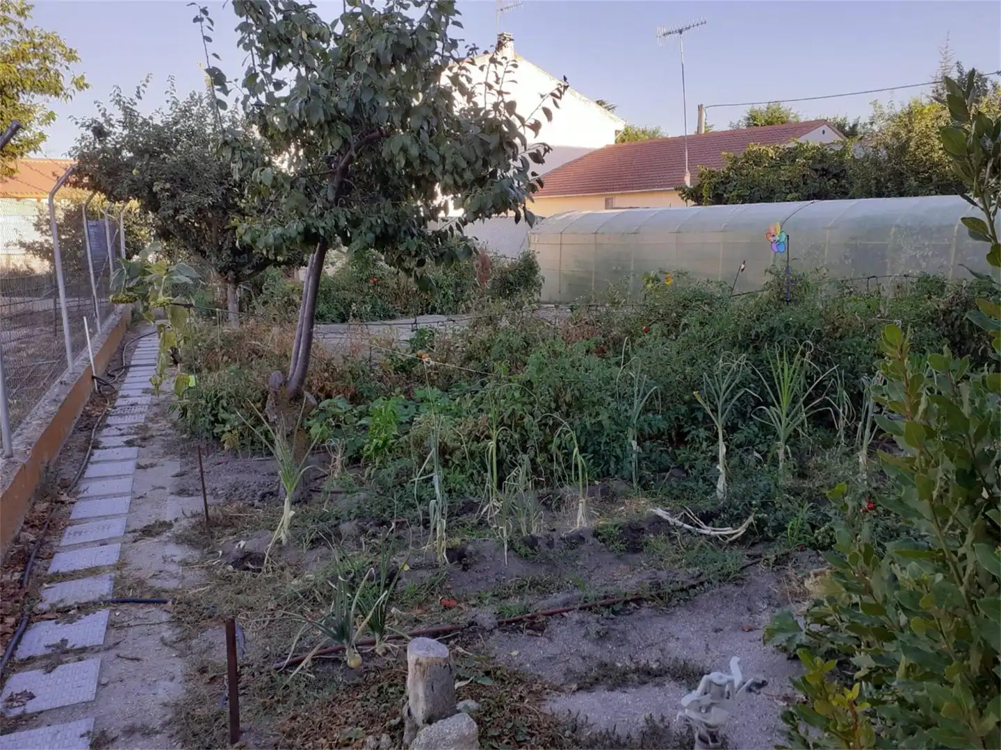 Casa o xalet en venda a Paseo Chico, Fontiveros Casa o xalet en venda en Fontiveros