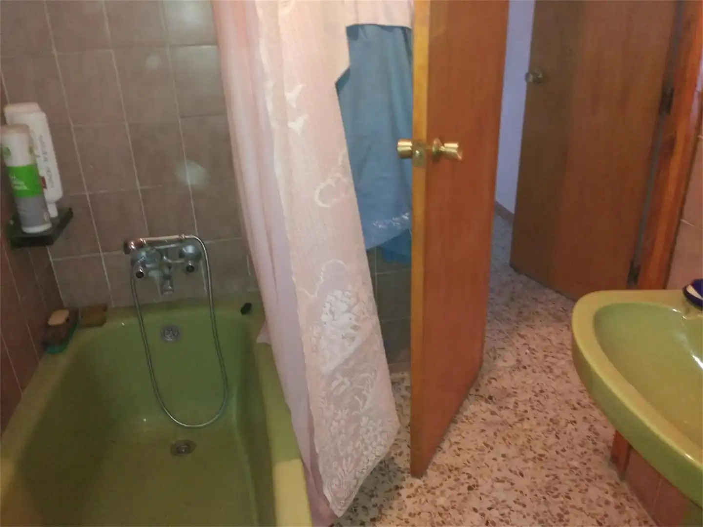 Bathroom of Detached homes for sale in Castigaleu  with Terrace, Storage room and Furnished