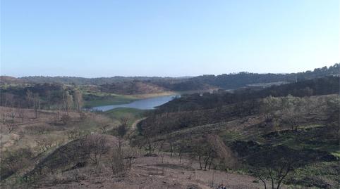 Foto 5 von Grundstücke zum Verkauf in El Ronquillo, Sevilla
