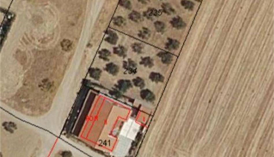 Foto 1 de Finca rústica en venda a Carretera Fuente del Maestre-huerta Julián, Fuente del Maestre, Badajoz