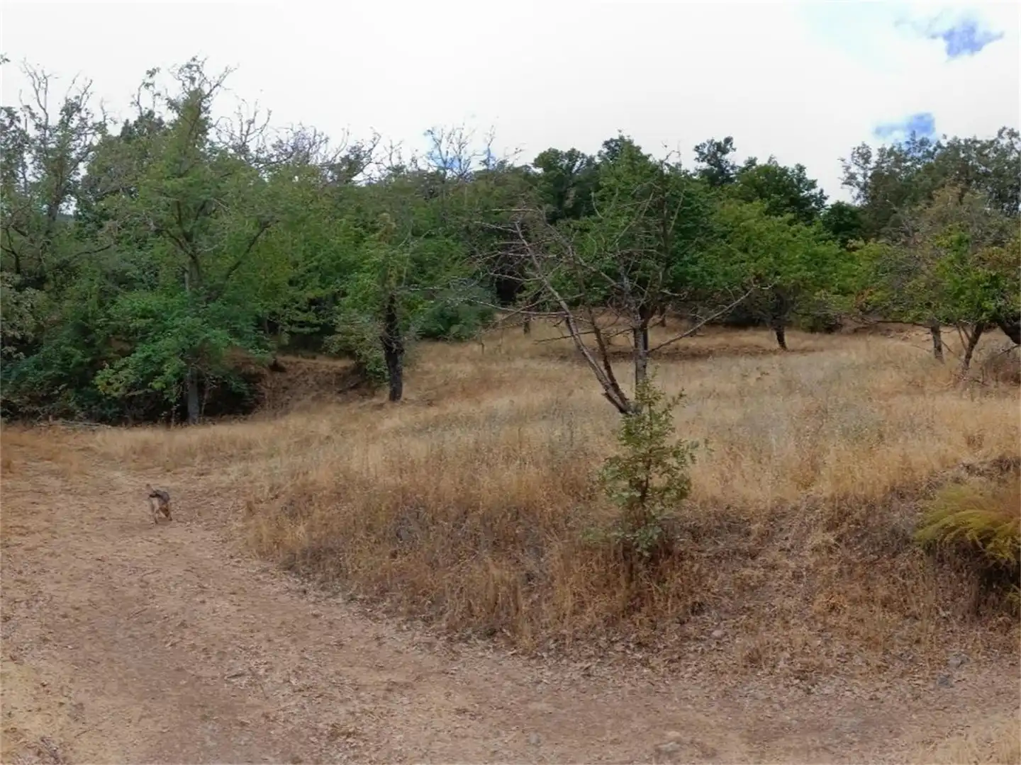 Urbanitzable en venda a Calle Agua, Güejar Sierra Urbanitzable en venda en Güejar Sierra