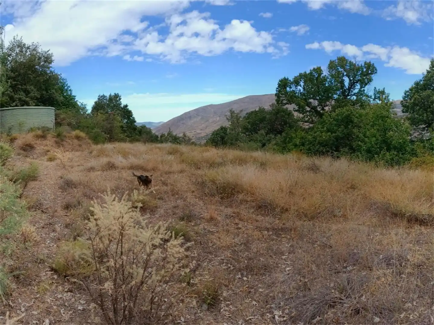 Urbanitzable en venda a Calle Agua, Güejar Sierra Urbanitzable en venda en Güejar Sierra