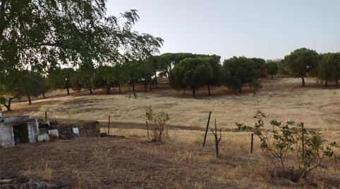 Finca rústica en venta en A-8101, Cazalla de la Sierra, Sevilla - imagen 3 Foto 3 de Finca rústica en venta en A-8101, Cazalla de la Sierra, Sevilla