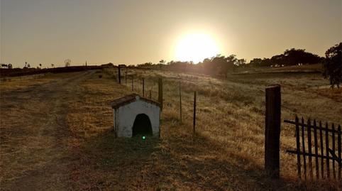 Finca rústica en venta en A-8101, Cazalla de la Sierra, Sevilla - imagen 4 Foto 4 de Finca rústica en venta en A-8101, Cazalla de la Sierra, Sevilla