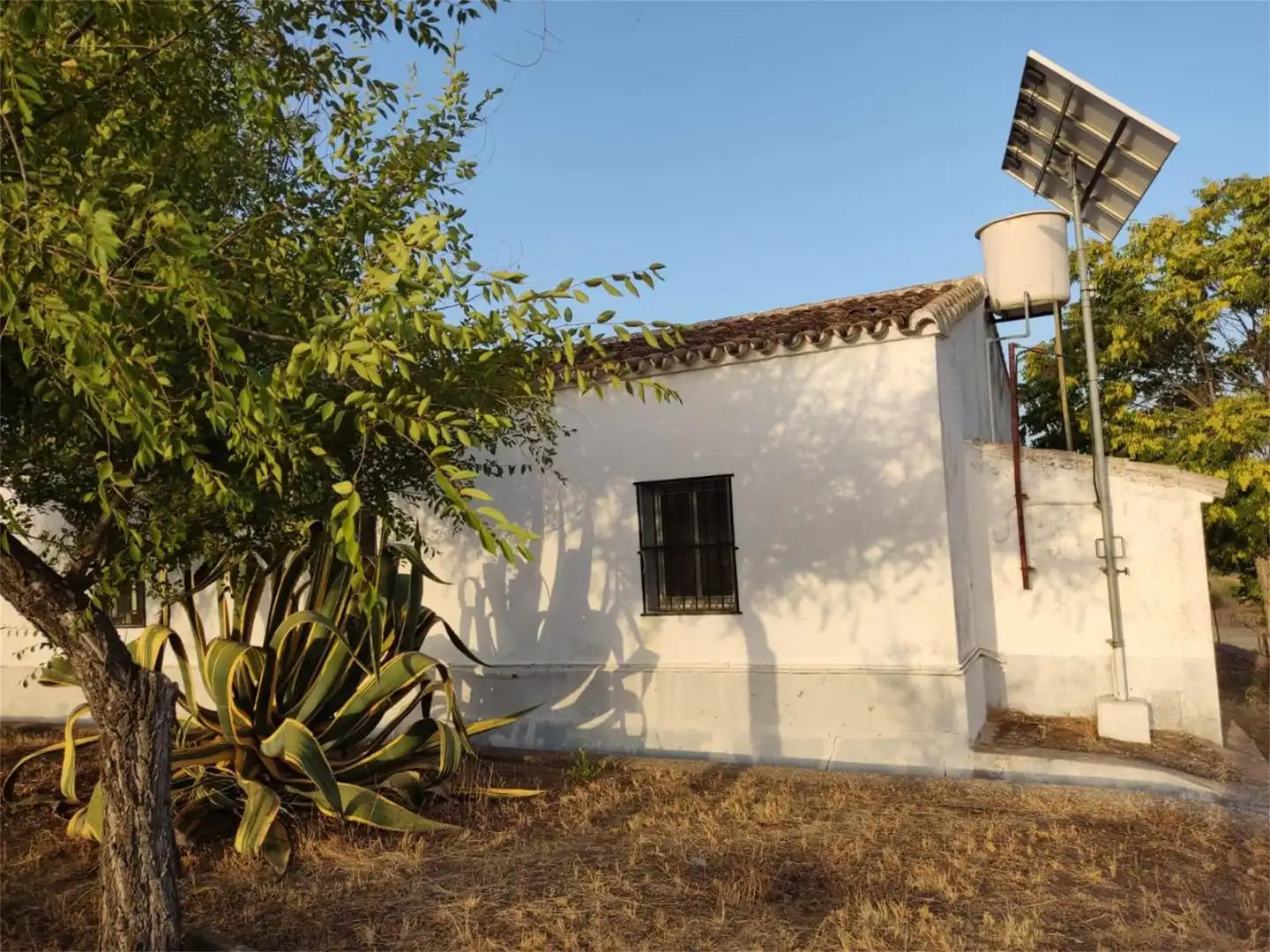 Finca rústica en venta en A-8101, Cazalla de la Sierra Vista exterior de Finca rústica en venta en Cazalla de la Sierra con Jardín privado, Terraza y Trastero