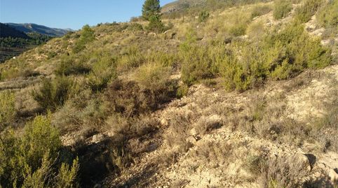 Terreno en venta en Ab-507, Nerpio, Albacete - imagen 4 Foto 4 de Terreno en venta en Ab-507, Nerpio, Albacete