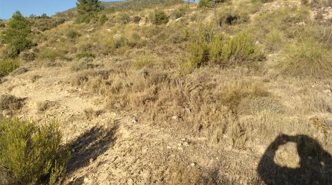 Terreno en venta en Ab-507, Nerpio, Albacete - imagen 5 Foto 5 de Terreno en venta en Ab-507, Nerpio, Albacete