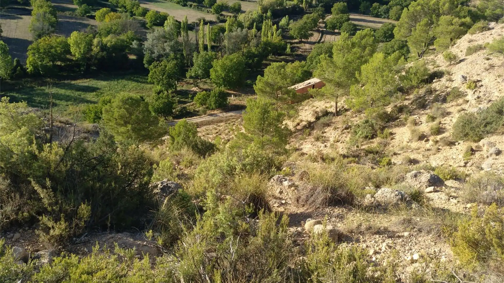 Terreno en venta en Nerpio