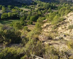 Land for sale in Nerpio