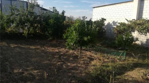 Foto 2 von Grundstücke zum Verkauf in Calle Santa María, Pozuelo de Zarzón, Cáceres