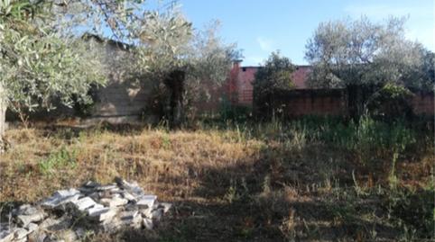 Foto 4 von Grundstücke zum Verkauf in Calle Santa María, Pozuelo de Zarzón, Cáceres