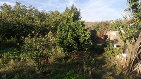 Foto 5 von Grundstücke zum Verkauf in Calle Santa María, Pozuelo de Zarzón, Cáceres