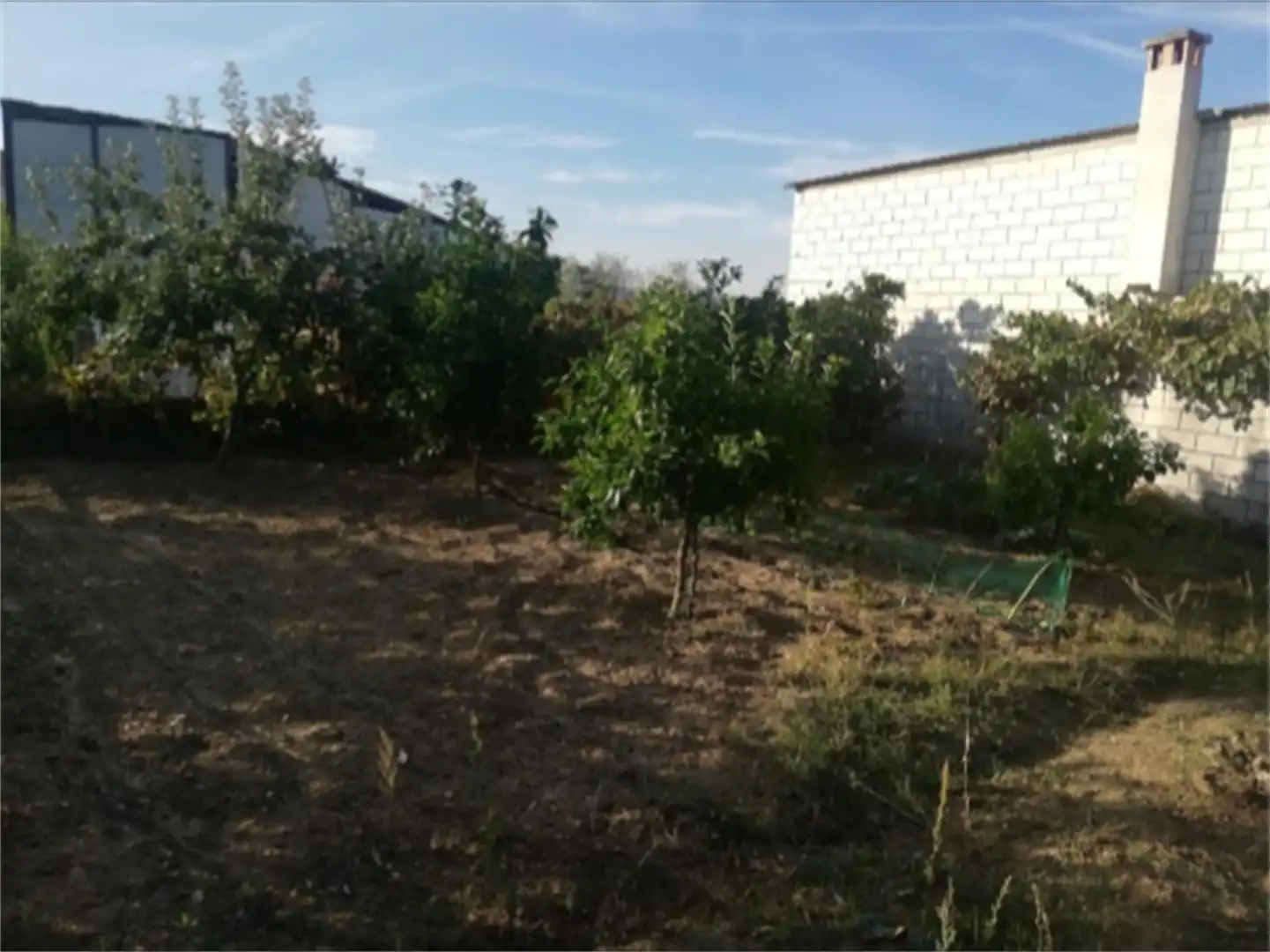Land for sale in Calle Santa María, Pozuelo de Zarzón Land for sale in Pozuelo de Zarzón