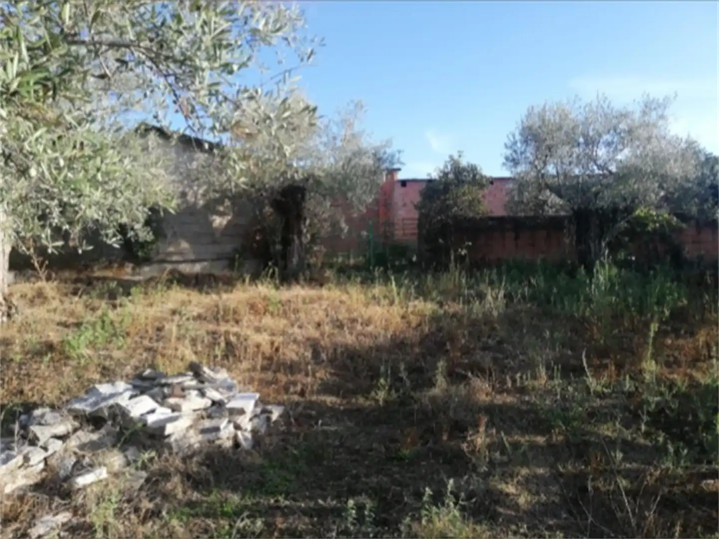Land for sale in Calle Santa María, Pozuelo de Zarzón Land for sale in Pozuelo de Zarzón