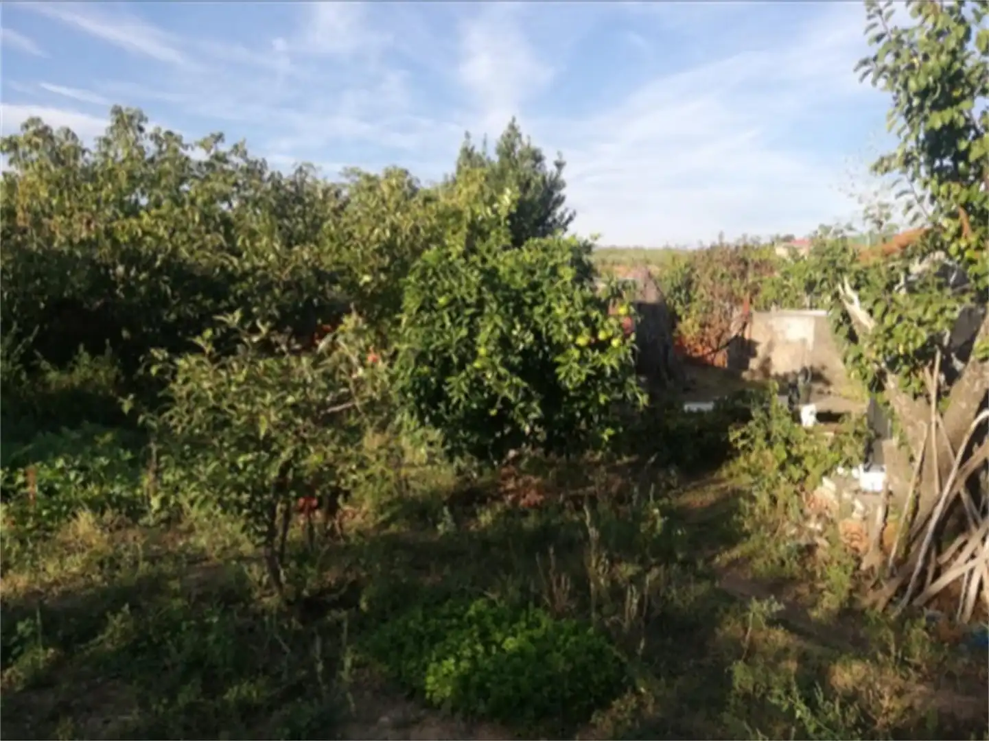 Land for sale in Calle Santa María, Pozuelo de Zarzón Land for sale in Pozuelo de Zarzón