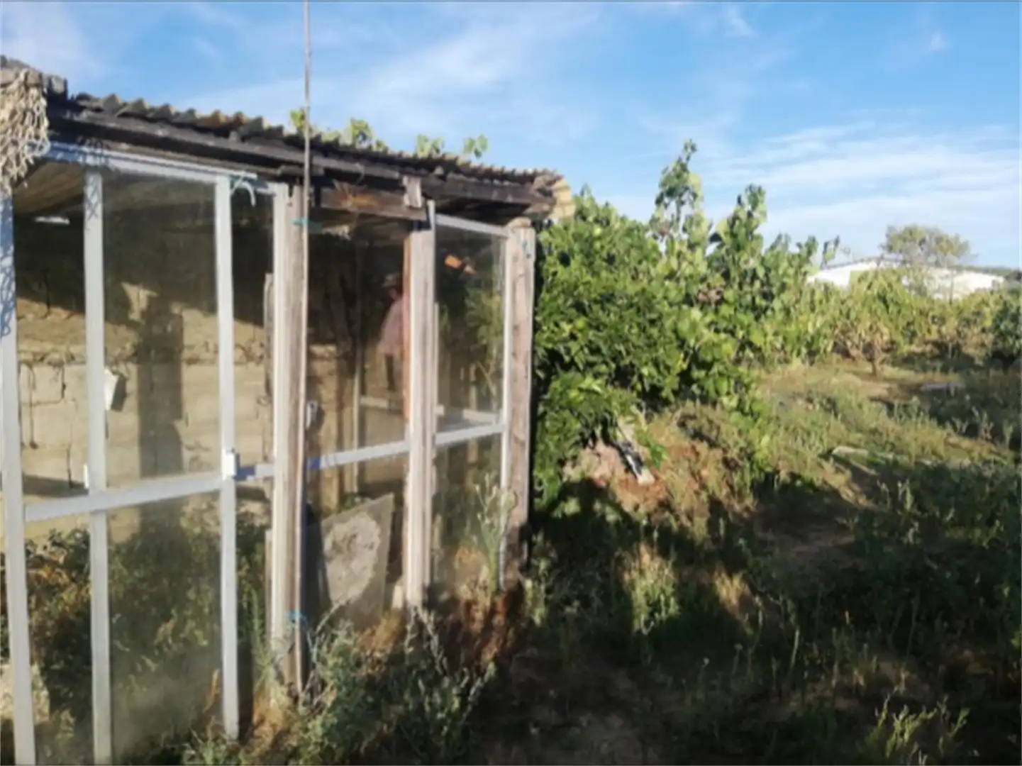 Land for sale in Calle Santa María, Pozuelo de Zarzón Land for sale in Pozuelo de Zarzón