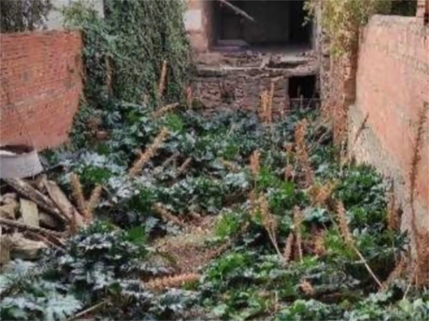 Wohnung zum Verkauf in Carretera de Tarragona a Bilbao, Les Borges Blanques Garten von Wohnung zum Verkauf in Les Borges Blanques mit Klimaanlage, Heizung und Privatgarten