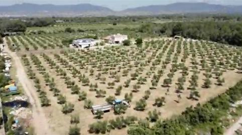 Finca rústica en venda a El Pla de Santa Maria, Tarragona - imatge 4 Foto 4 de Finca rústica en venda a El Pla de Santa Maria, Tarragona