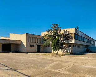 Industrial buildings to rent in Urbanización El Madroño, 27, Patrocinio - Nueva Talavera