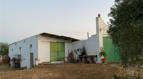 Photo 3 of Country house for sale in Camino del Peral, Sur, Badajoz