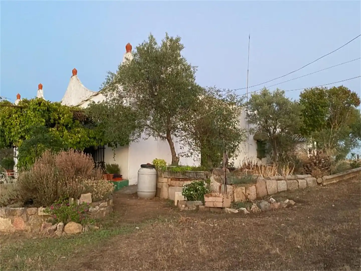 Finca rústica en venta en Camino del Peral, Sur Jardín de Finca rústica en venta en Mérida con Terraza