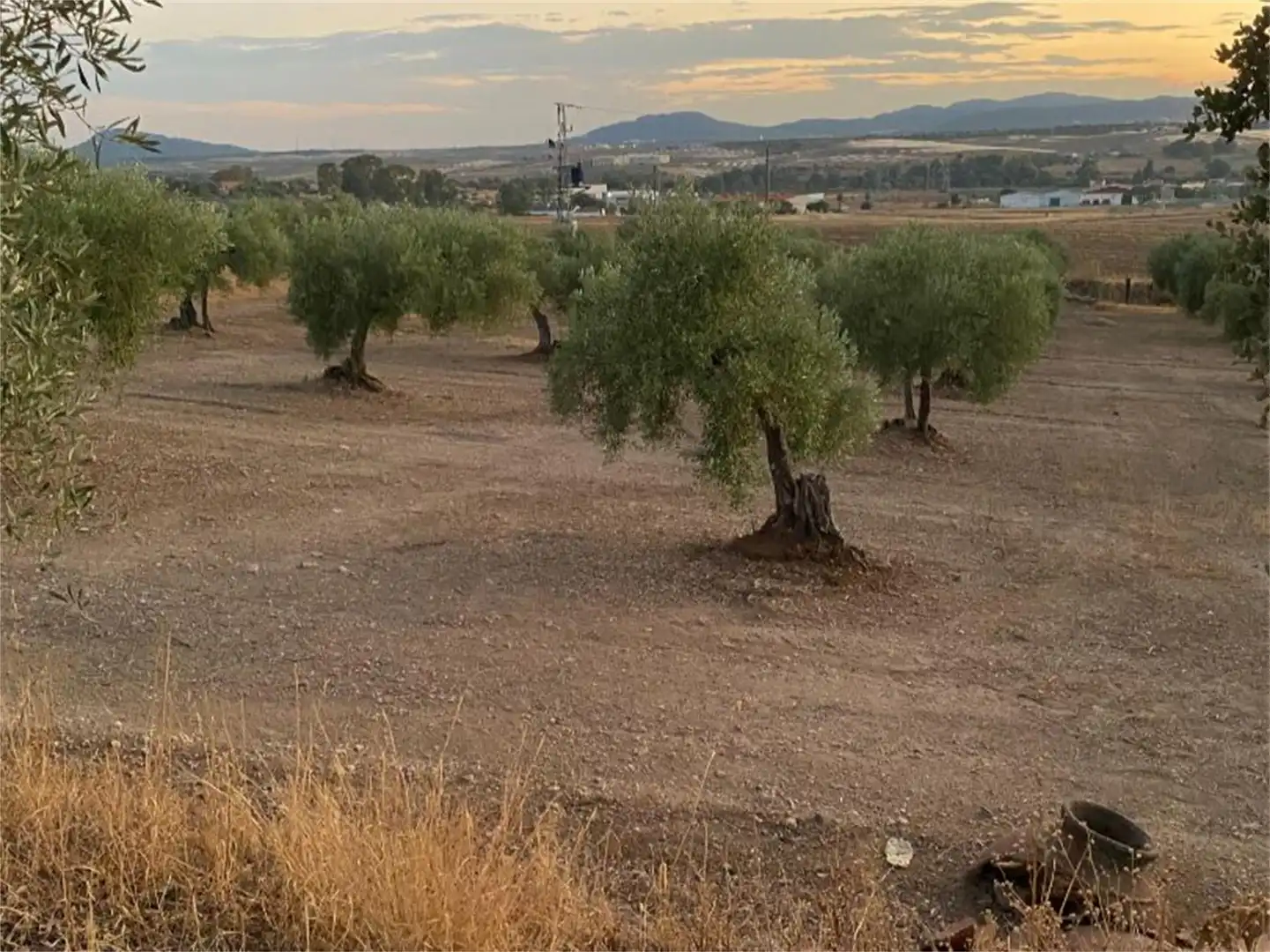 Finca rústica en venta en Camino del Peral, Sur Finca rústica en venta en Mérida con Terraza
