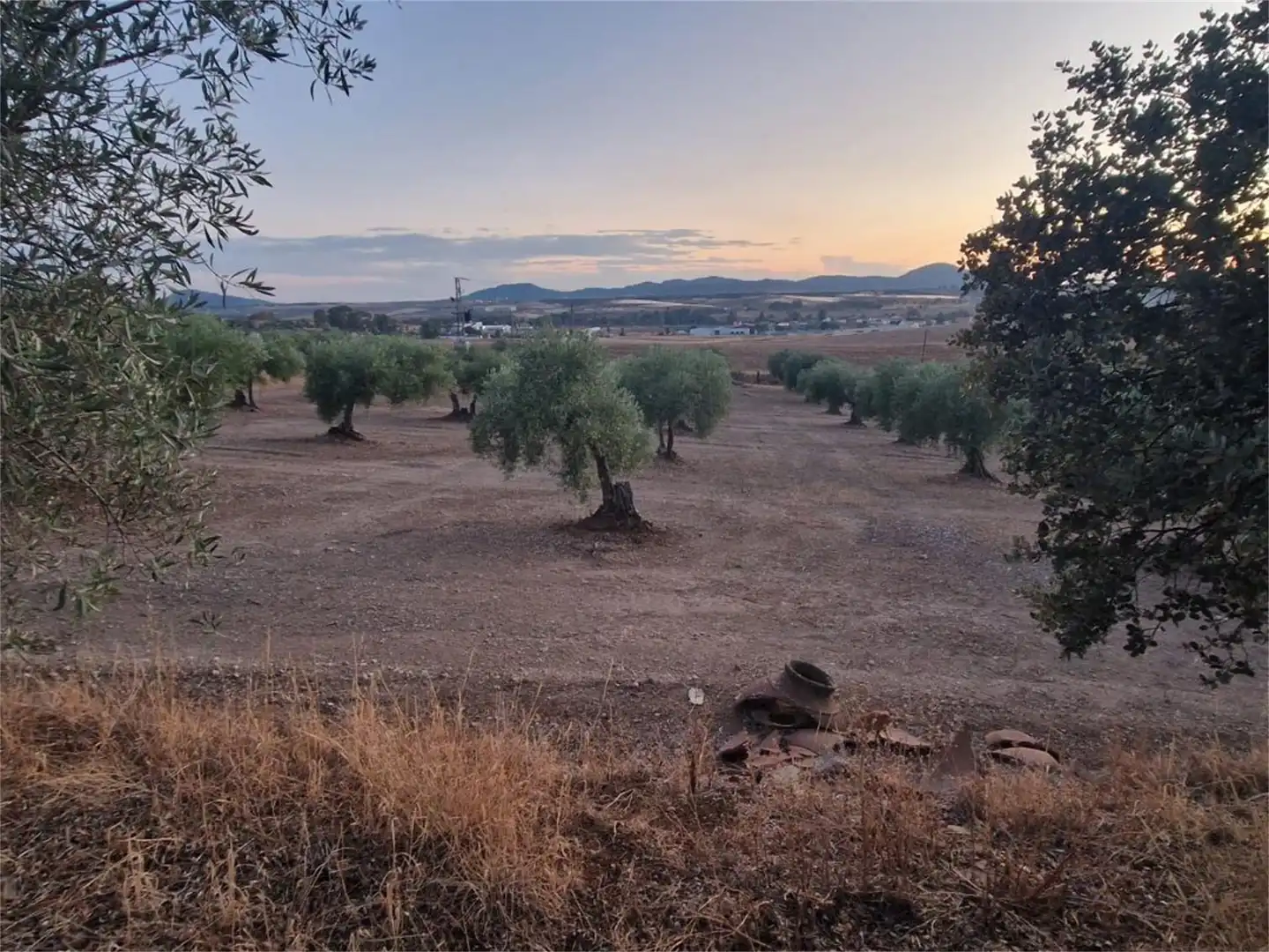 Finca rústica en venta en Camino del Peral, Sur Finca rústica en venta en Mérida con Terraza