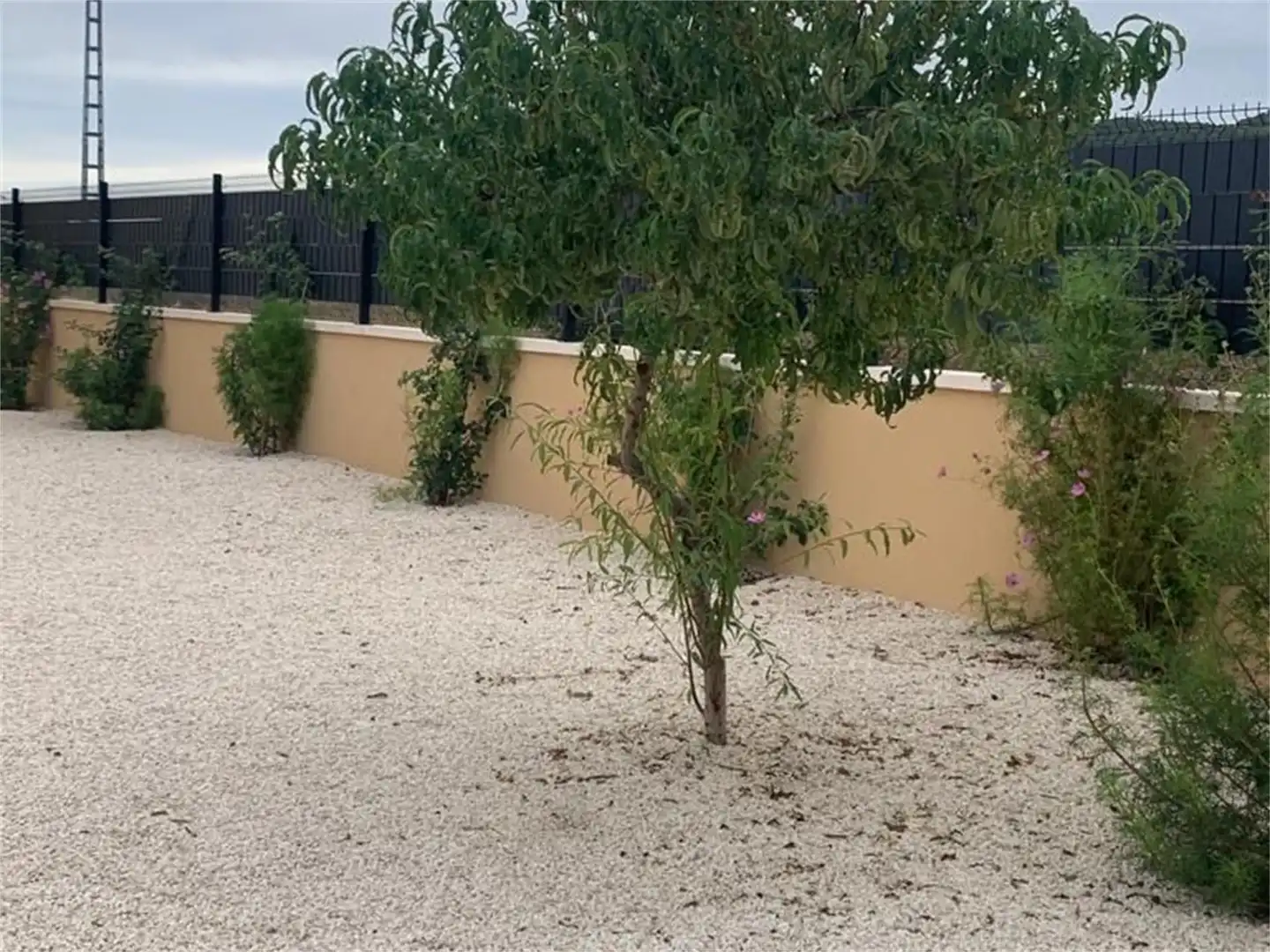 Casa o xalet de lloguer a Carretera a las Casas del Señor, Monóvar / Monòver Casa o xalet de lloguer en Monóvar / Monòver amb Aire condicionat, Calefacció i Jardí privat