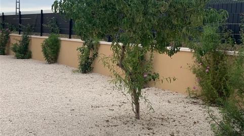 Casa o xalet de lloguer a Carretera a las Casas del Señor, Monóvar / Monòver, Alicante - imatge 2 Foto 2 de Casa o xalet de lloguer a Carretera a las Casas del Señor, Monóvar / Monòver, Alicante