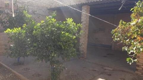 Foto 5 de Finca rústica en venda a Calle Carmen, 20, Puerto Serrano, Cádiz