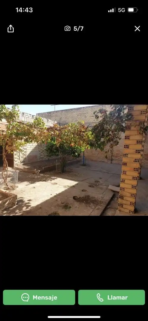 Finca rústica en venda a Calle Carmen, 20, Puerto Serrano Jardí de Finca rústica en venda en Puerto Serrano amb Terrassa
