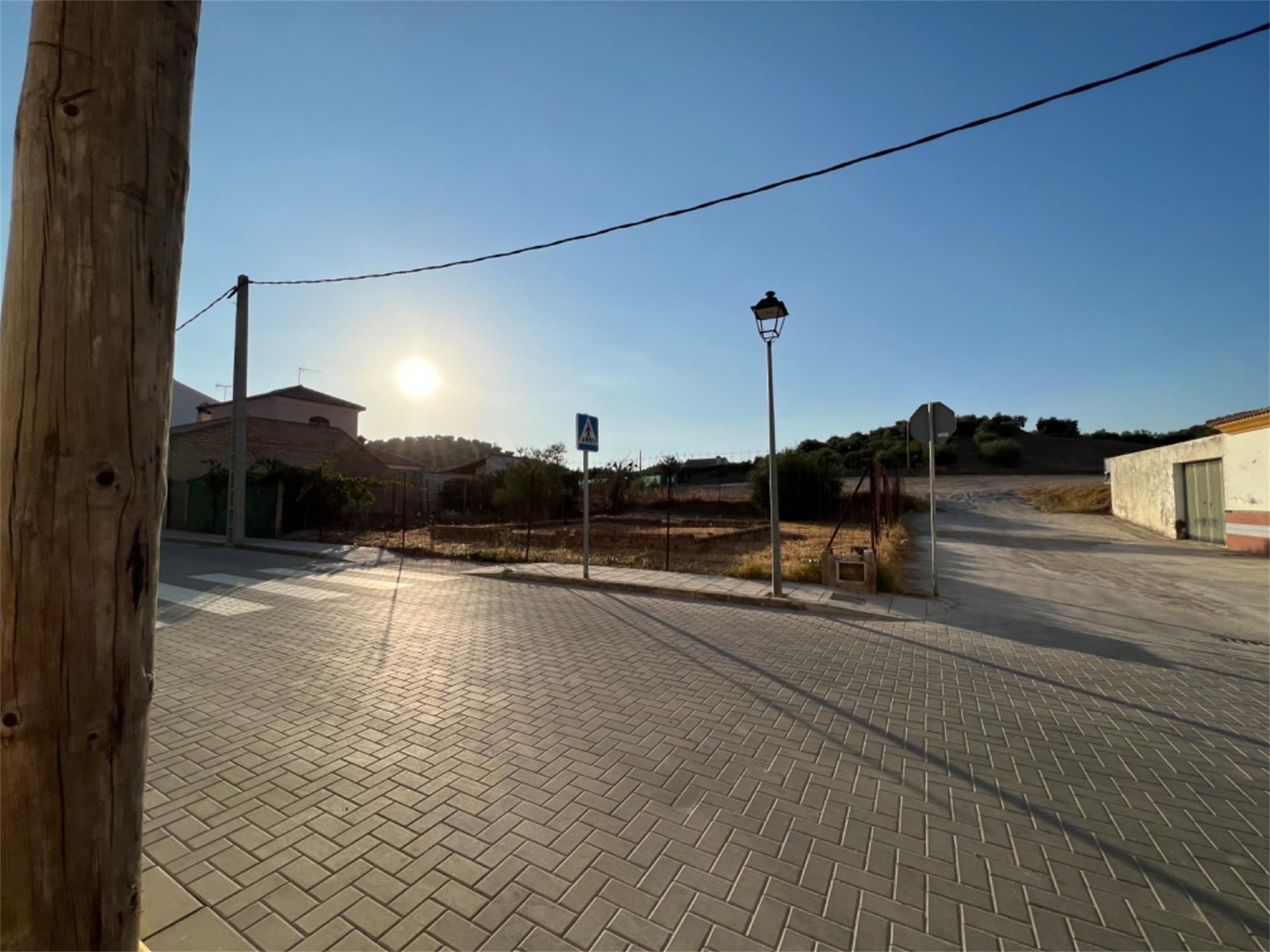 Exterior view of Land for sale in Coripe