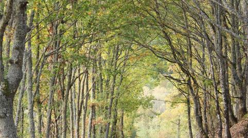 Foto 2 de Casa o xalet en venda a Caraduje, Santa Eulalia de Oscos, Asturias