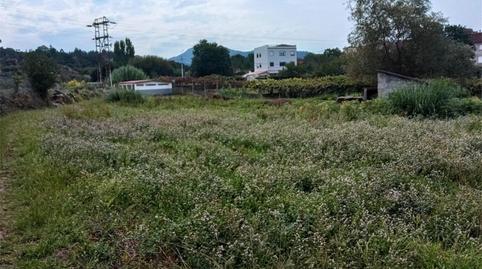 No Urbanitzable en venda a Camiño Do Monte Da Serra, Sardoma - Castrelos, Pontevedra - imatge 2 Foto 2 de No Urbanitzable en venda a Camiño Do Monte Da Serra, Sardoma - Castrelos, Pontevedra