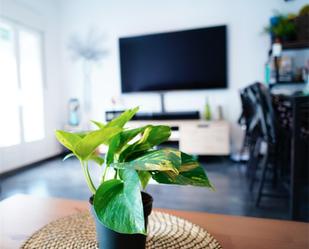 Living room of Flat for sale in  Madrid Capital  with Air Conditioner and Balcony