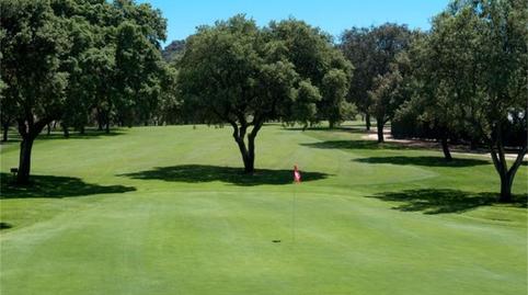 Finca rústica de lloguer a Calle Encinas, San Roque - La Cruz - La Rozuela, Jaén - imatge 3 Foto 3 de Finca rústica de lloguer a Calle Encinas, San Roque - La Cruz - La Rozuela, Jaén