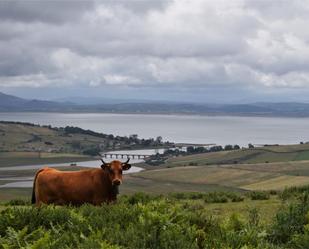 Vista exterior de Terreny en venda en Campoo de Yuso amb Traster