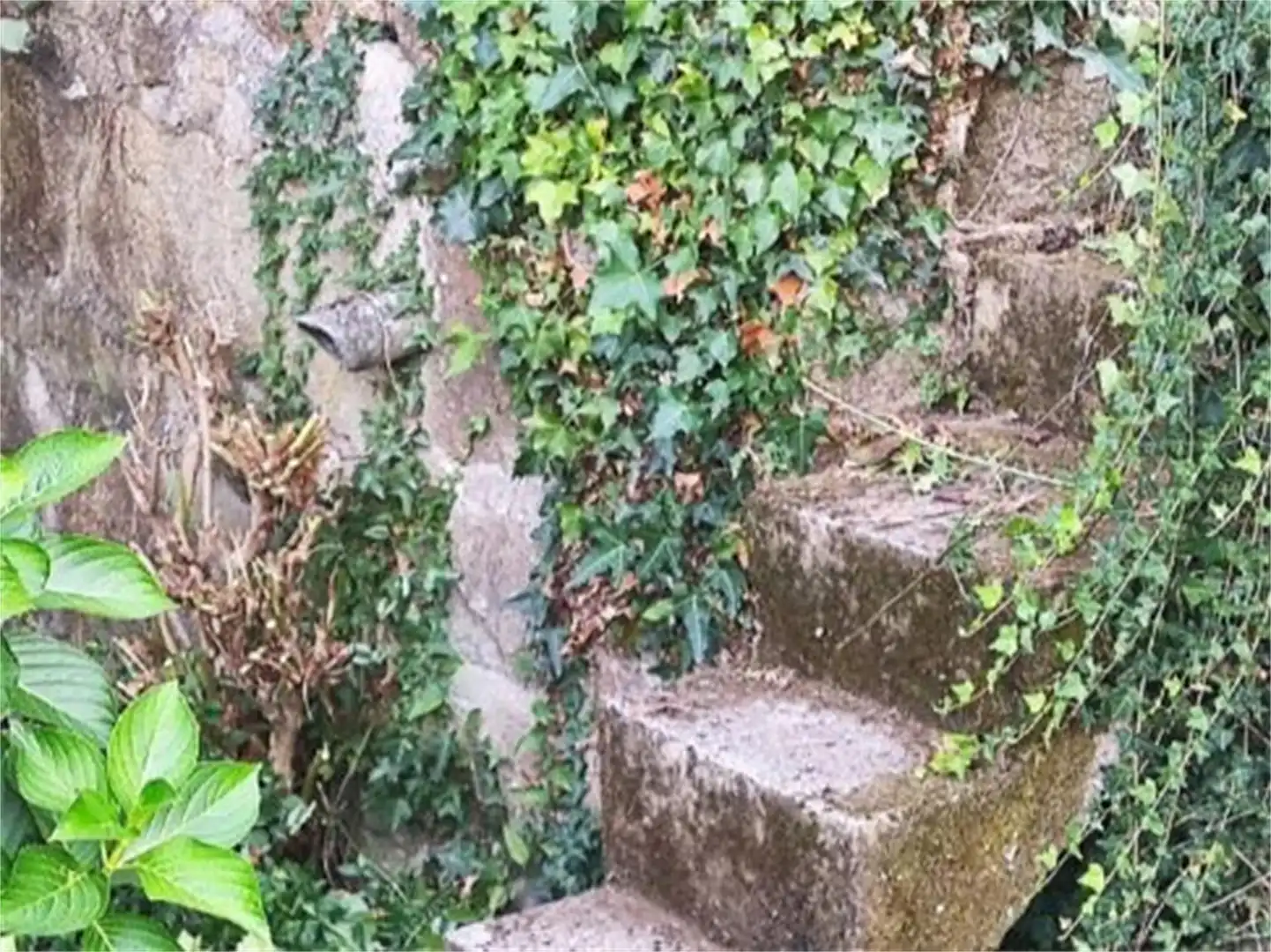 Vista exterior de Casa o xalet en venda en Carballeda de Avia amb Jardí privat, Terrassa i Moblat