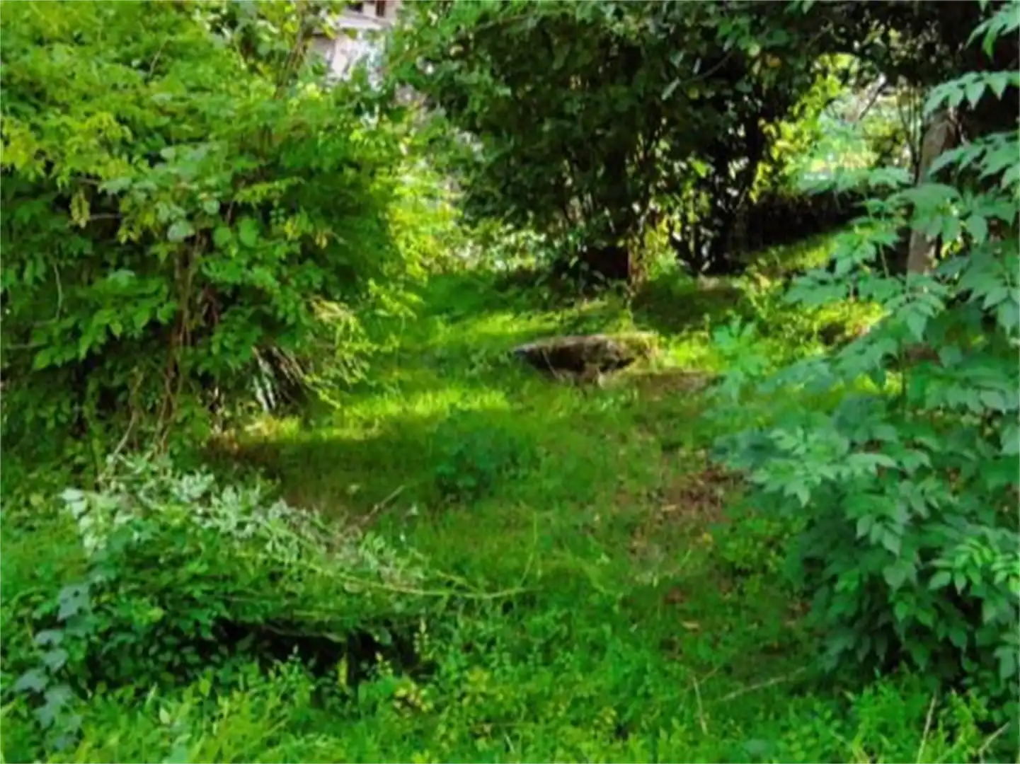 Casa o xalet en venda en Carballeda de Avia amb Jardí privat, Terrassa i Moblat