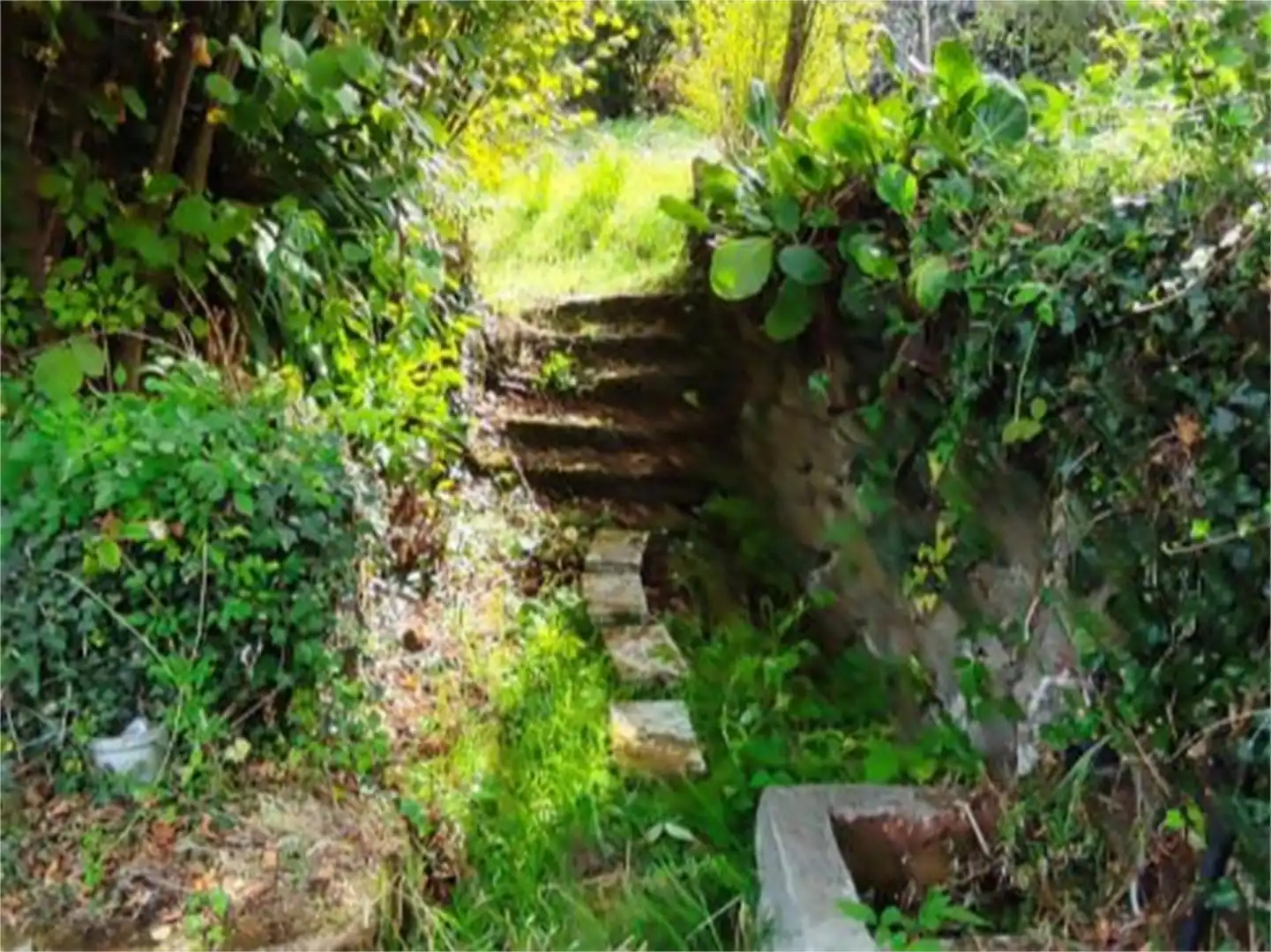 Jardí de Casa o xalet en venda en Carballeda de Avia amb Jardí privat, Terrassa i Moblat