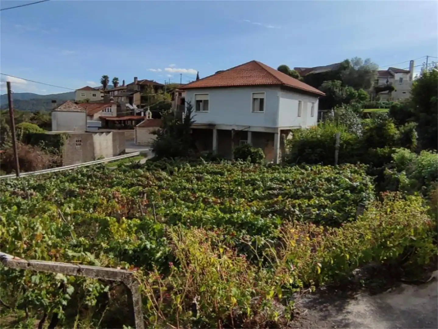 Jardí de Casa o xalet en venda en Carballeda de Avia amb Jardí privat, Terrassa i Moblat