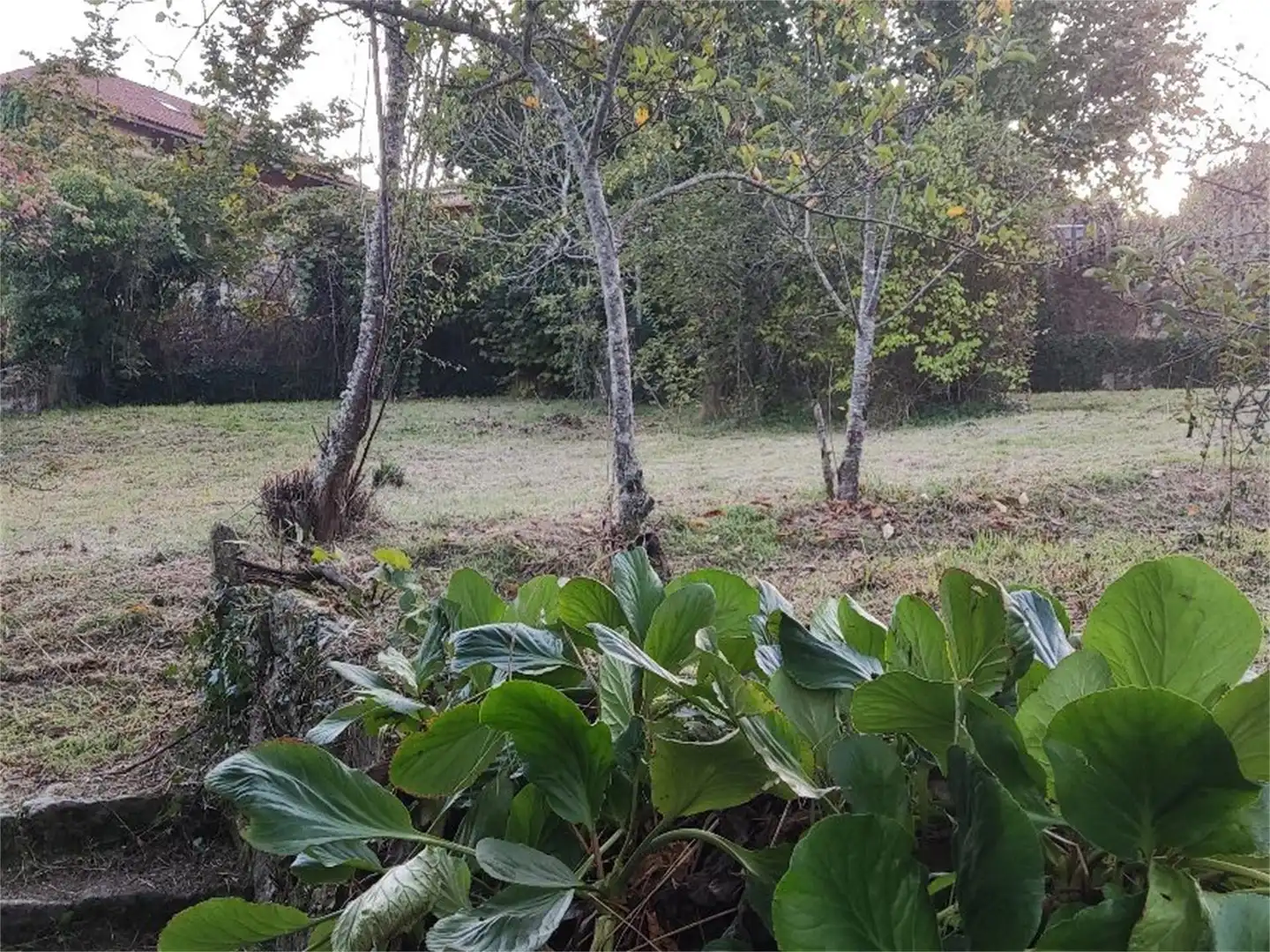 Casa o xalet en venda en Carballeda de Avia amb Jardí privat, Terrassa i Moblat