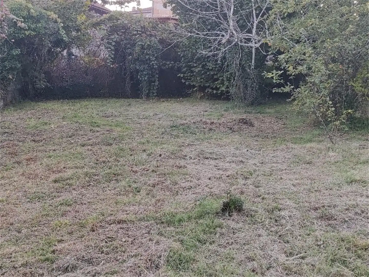 Casa o xalet en venda en Carballeda de Avia amb Jardí privat, Terrassa i Moblat