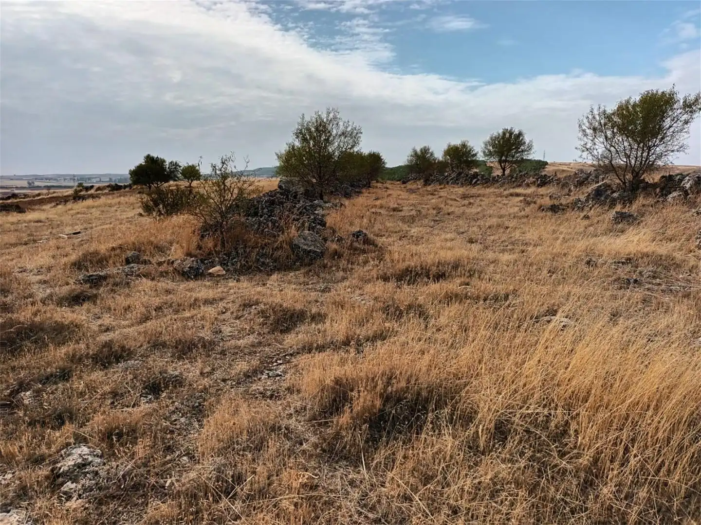 Terreno en venta en Camino Uclés, Huelves Terreno en venta en Huelves