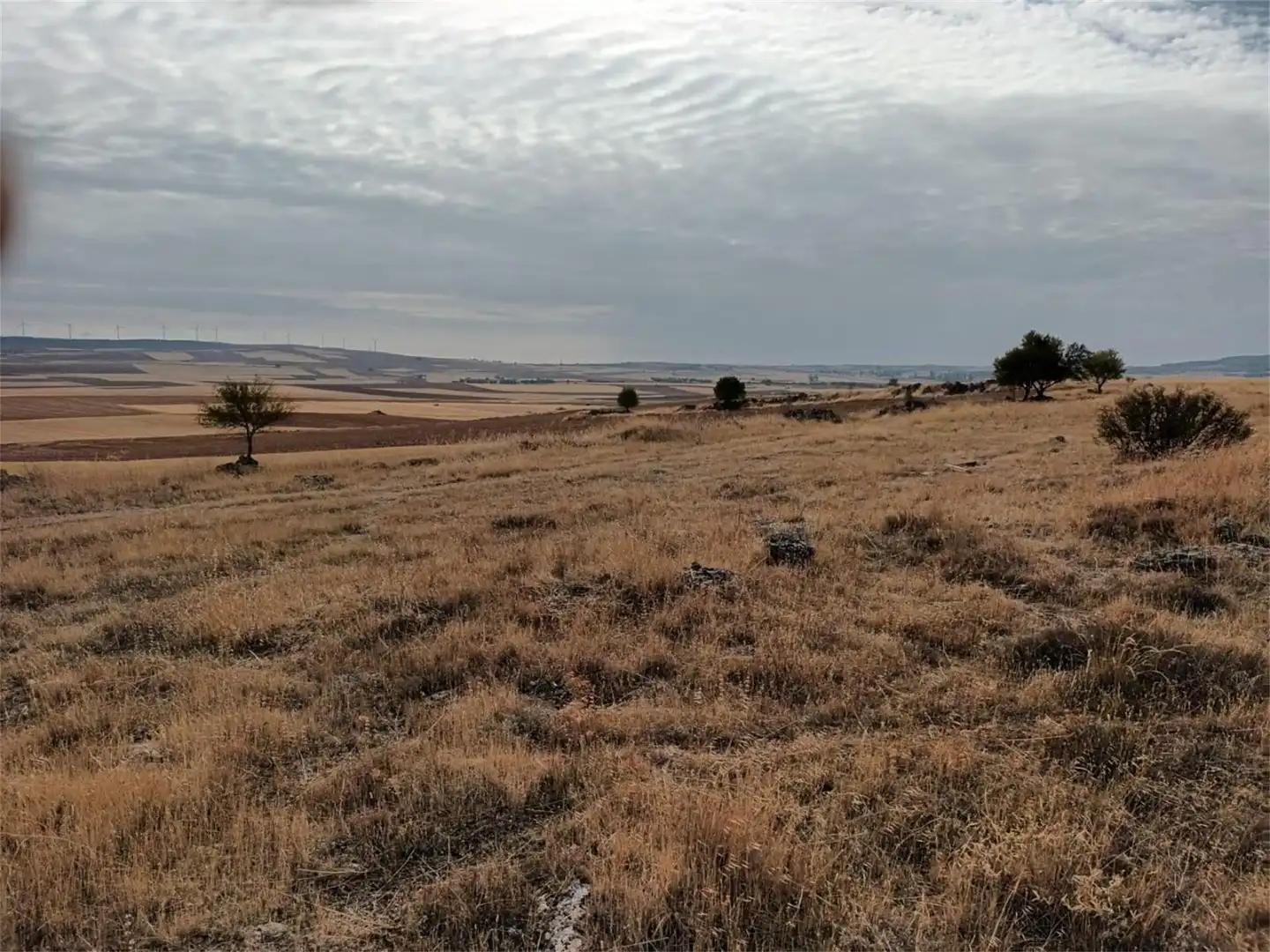 Terreno en venta en Camino Uclés, Huelves Terreno en venta en Huelves