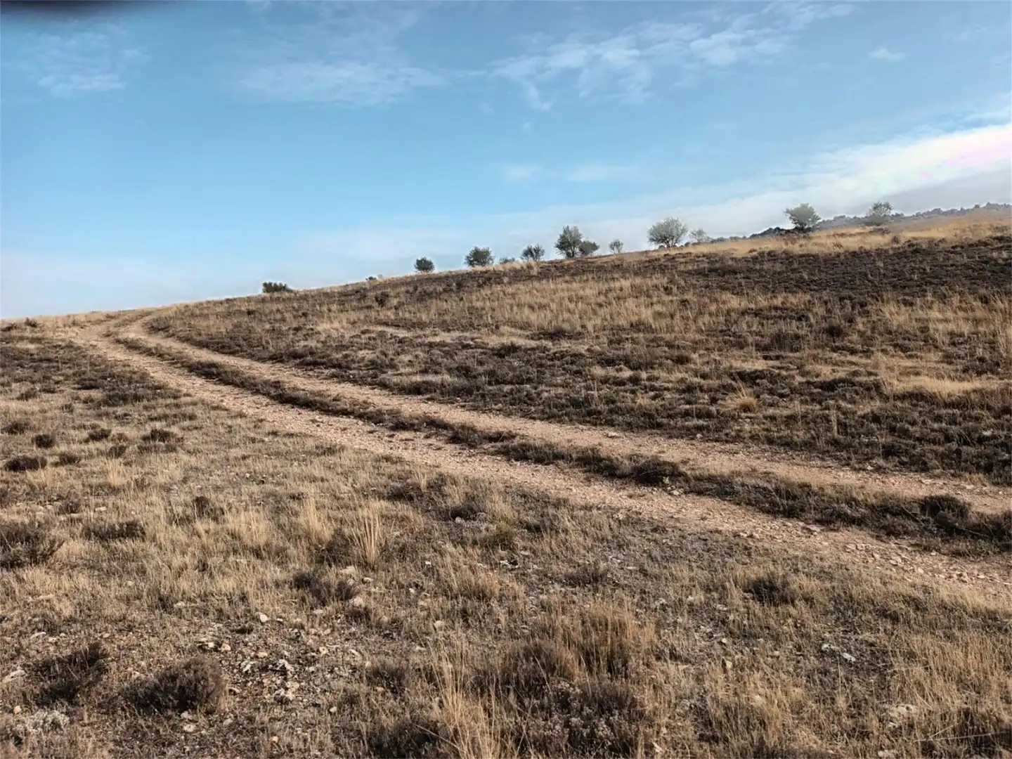 Terreno en venta en Camino Uclés, Huelves Terreno en venta en Huelves