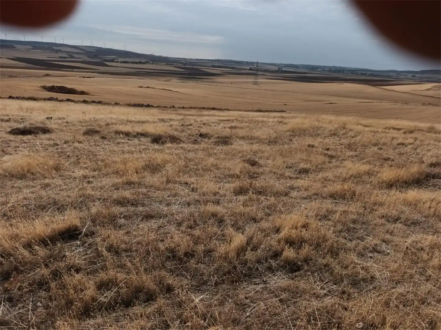 Terreno en venta en Camino Uclés, Huelves Terreno en venta en Huelves