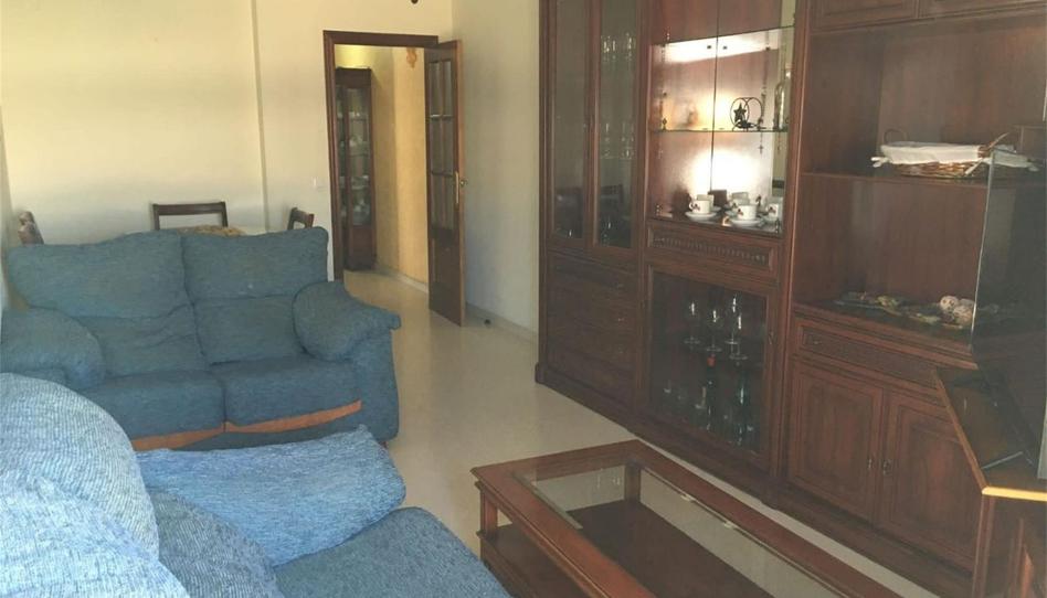 Flat to rent in Calle Ronda del Canillo, Montilla, Córdoba - image 1 Photo 1 of Flat to rent in Calle Ronda del Canillo, Montilla, Córdoba